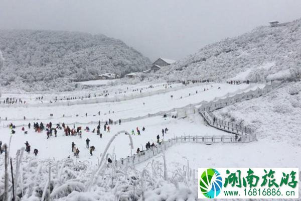 2021金佛山牵牛坪滑雪场开放时间及门票价格