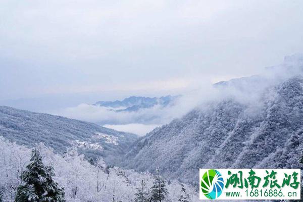 金佛山和四面山哪个好玩