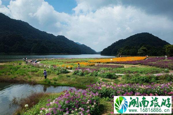 东莞周边春游去哪里 踏青赏花好去处