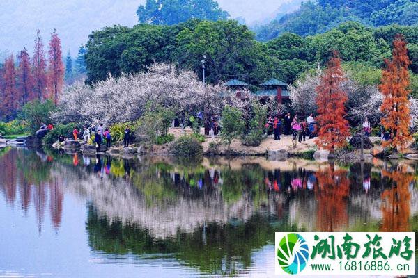 广州春天哪里好玩的景点推荐 广州春季旅游好去处