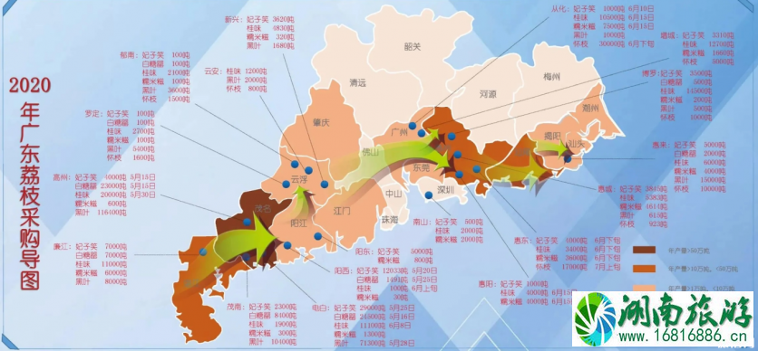 2020深圳南山荔枝上市时间及价格