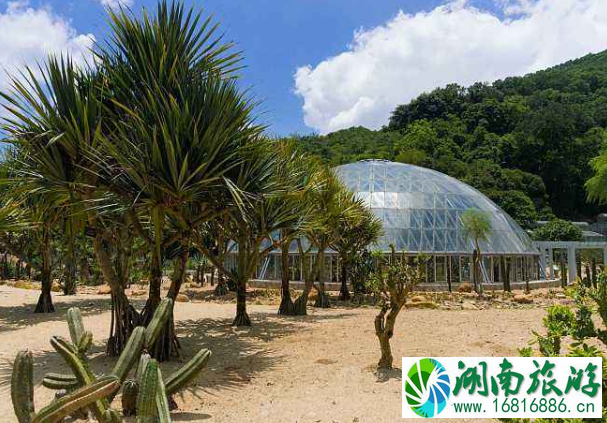 五一深圳仙湖植物园要预约吗-停车预约指南