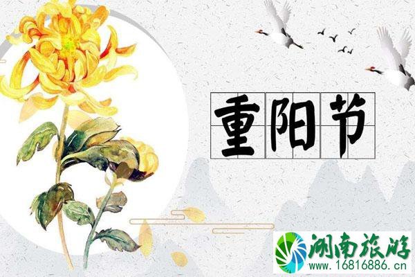 2020年广州重阳节活动汇总一览