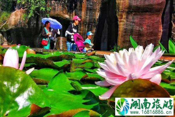 广州莲花山门票多少钱一张 景点介绍