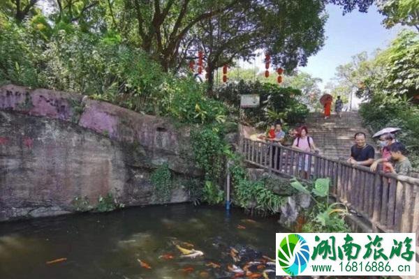 广州莲花山门票多少钱一张 景点介绍