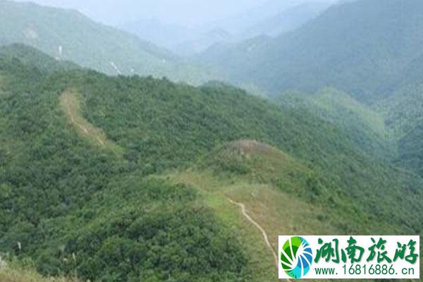 深圳爬山去哪里比较好 深圳爬山景点介绍2021