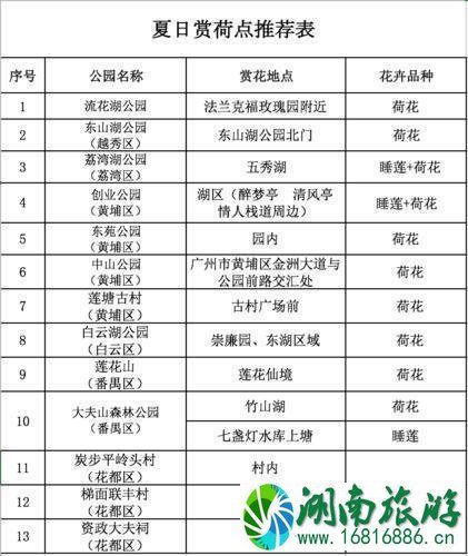 广州端午节公园有什么精彩活动吗 附2020年端午节活动信息