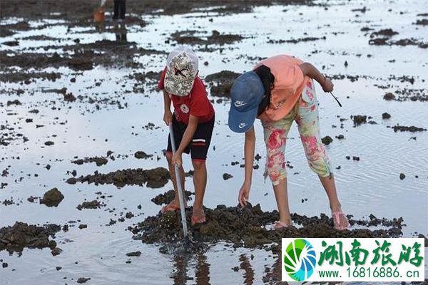 深圳赶海的地方有哪些