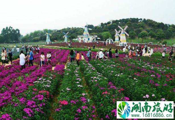 广东免费旅游必去十大景点