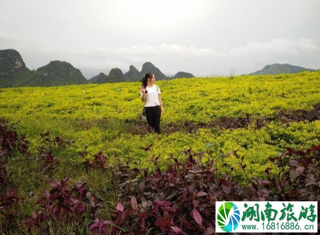 广东英德旅游攻略 英德自驾游攻略