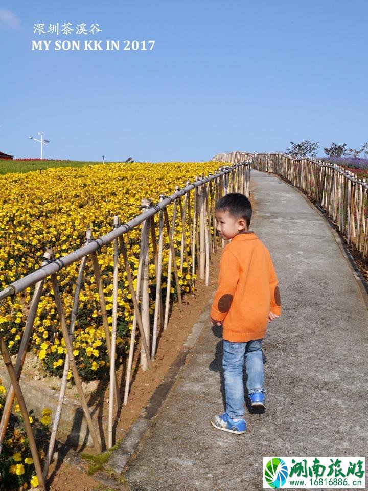 深圳有哪些旅游景点 深圳两日游攻略