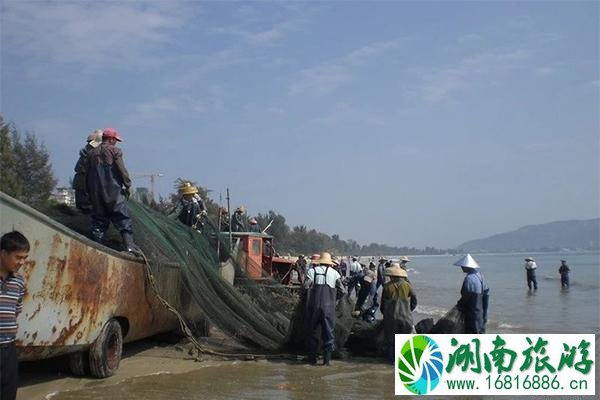 惠州双月湾赶海攻略 停车费多少钱