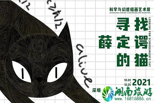 深圳寻找薛定谔的猫插画展怎么样附游玩攻略