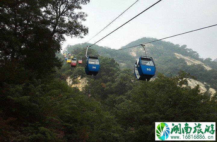 洛阳白云山风景区怎么去+交通指南