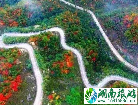 河南最美公路在哪里 河南都有些什么公路