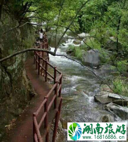 河南云露山门票多少钱