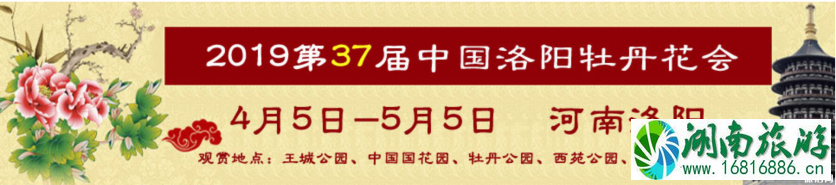 洛阳牡丹花会2022时间+地址+门票价格