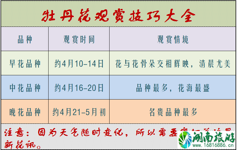 洛阳牡丹花会2022时间+地址+门票价格