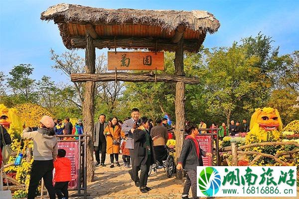 2022开封菊花展布展景区停车在哪里 龙亭景区+包公湖景区