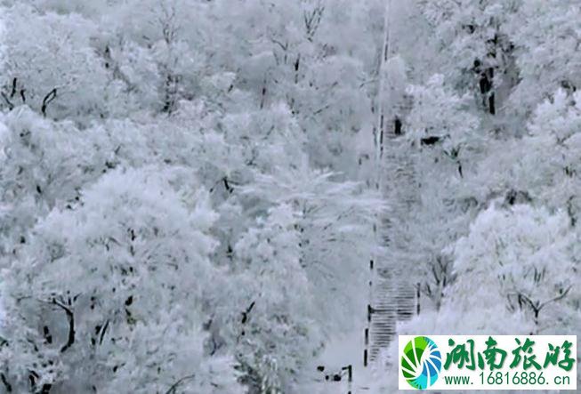 洛阳白云山景区怎么样 好玩吗