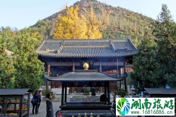 8月洛阳古观音禅寺恢复开放时间