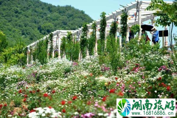 洛阳黛眉山旅游年票包含那些景点+价格