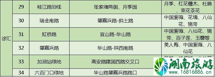 上海打造118条花道 上海全市各区域花道汇总