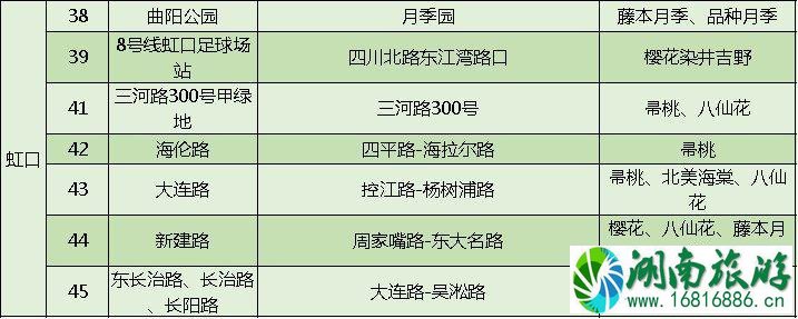 上海打造118条花道 上海全市各区域花道汇总