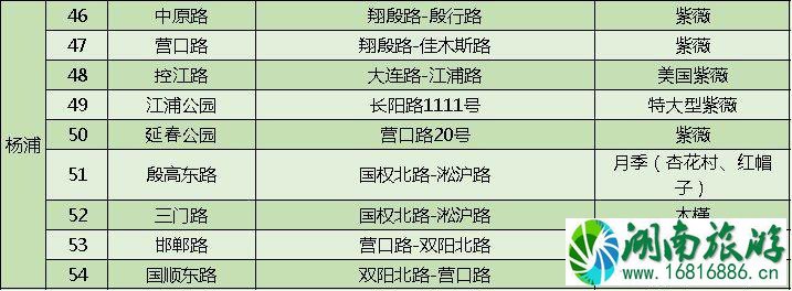 上海打造118条花道 上海全市各区域花道汇总