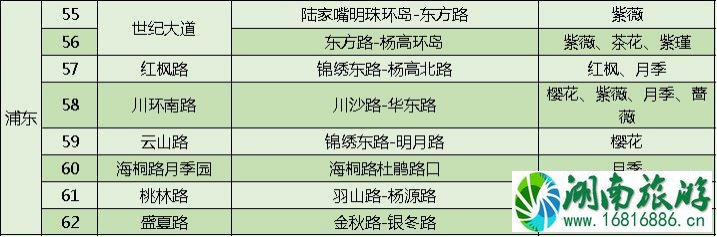 上海打造118条花道 上海全市各区域花道汇总