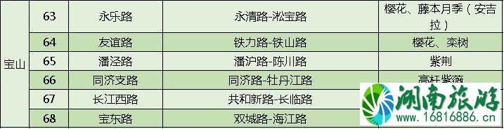 上海打造118条花道 上海全市各区域花道汇总