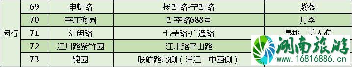 上海打造118条花道 上海全市各区域花道汇总