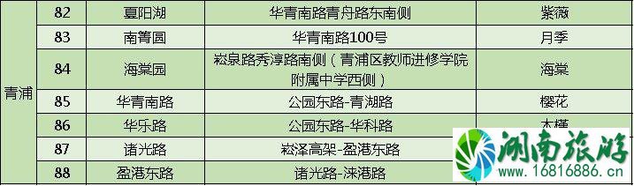 上海打造118条花道 上海全市各区域花道汇总