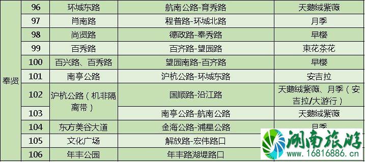 上海打造118条花道 上海全市各区域花道汇总