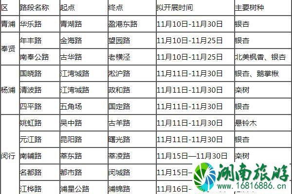 2021上海落叶不扫景观道路有哪些