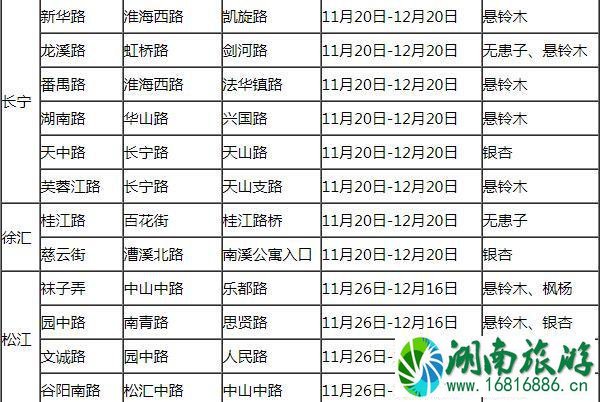 2021上海落叶不扫景观道路有哪些