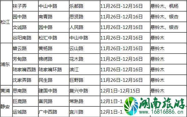 2021上海落叶不扫景观道路有哪些