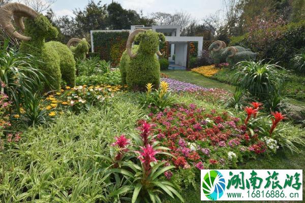 2021上海植物园花展时间-门票-看点