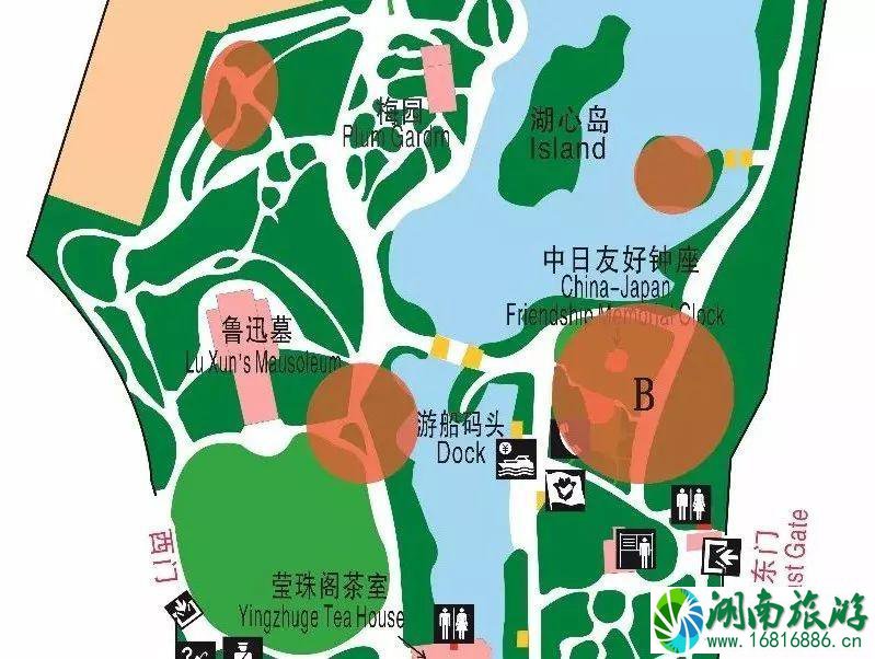 2022年上海鲁迅公园樱花展活动(时间+交通+地址)