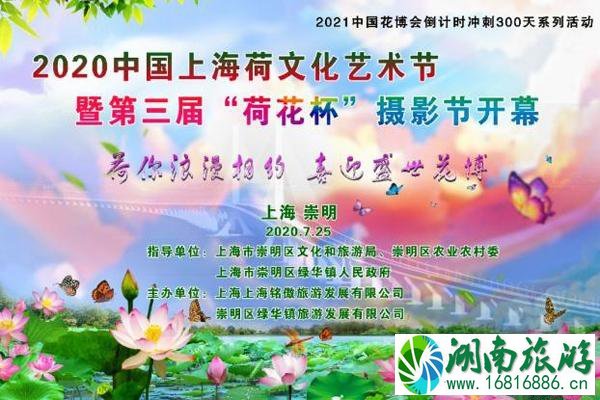 上海荷花节2020年八月有哪些和活动攻略