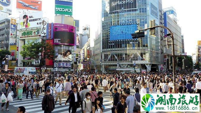 上海到日本自由行攻略 去日本怎么最省钱