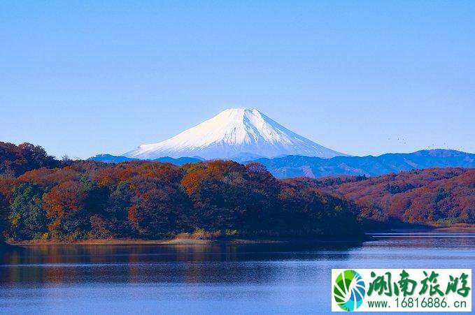 上海到日本自由行攻略 去日本怎么最省钱