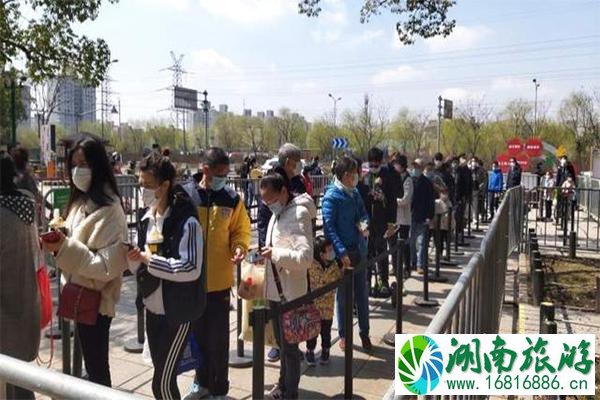 上海共青森林公园端午节芳香植物展 疫情后游玩指南