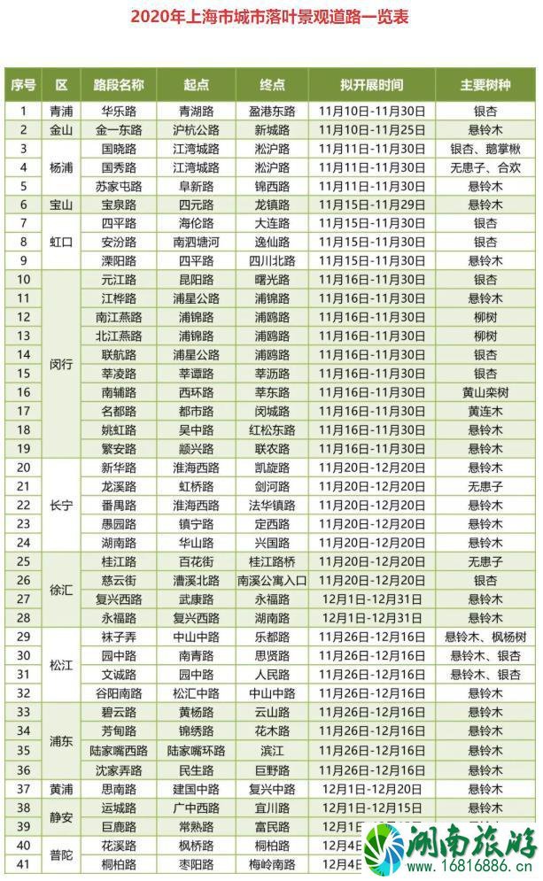 2020上海41条落叶景观道路名单一览